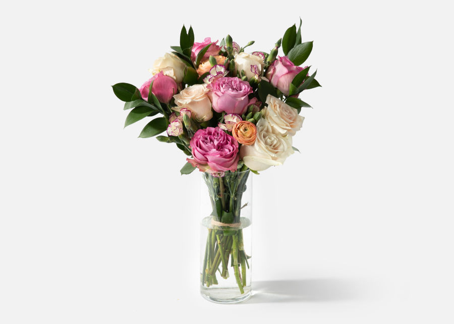 The Morado | UrbanStems