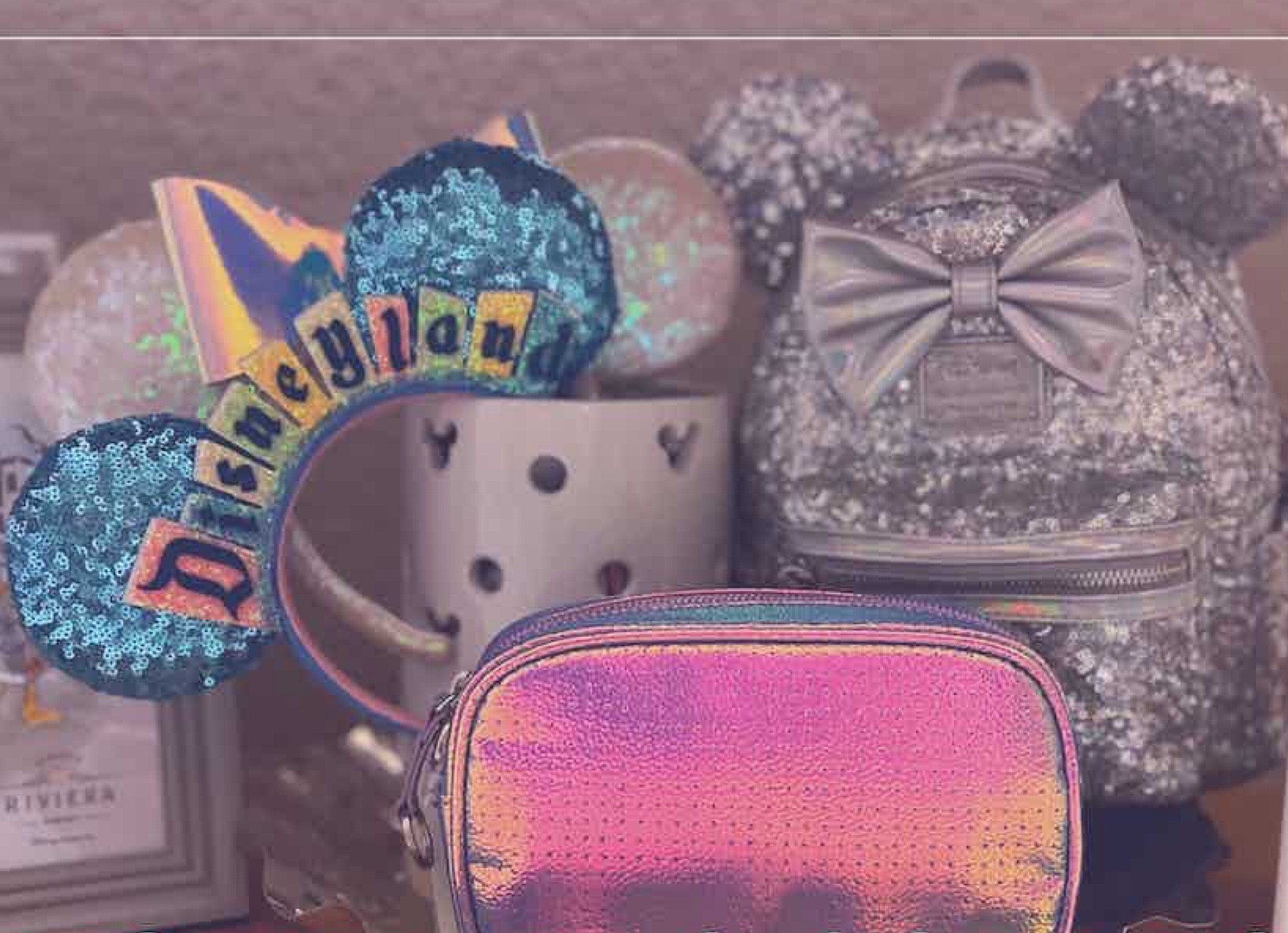 Bags for Disney World 