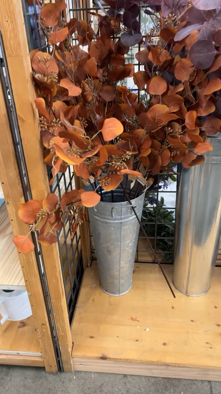 World market run
Fall finds
Stems 

#LTKHome