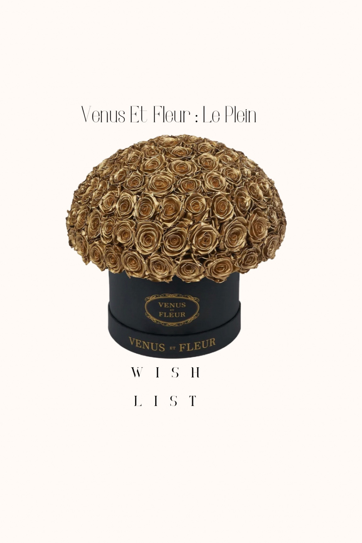 Are you trying to  figure out what to ask for , for Christmas? I’m sharing some items from my wishlist! All you have to do is send the link or purchase for yourself! 

I absolutely love flowers and  Venus Et Fleur ‘forever’ flowers are such a statement piece. 

#LTKGiftGuide #LTKhome