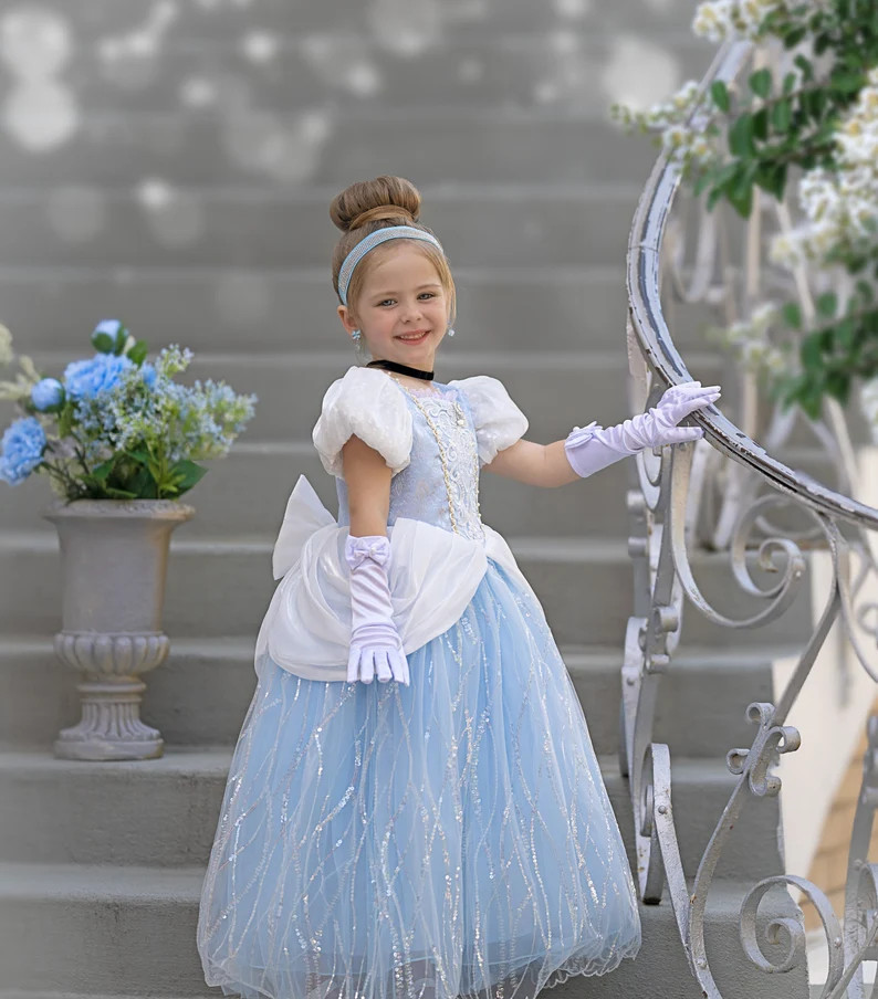 Cinderella Princess Dress Costume Set, Birthday Party Dress for Girls, Ball Gown, Dress Up, Cinde... | Etsy (US)