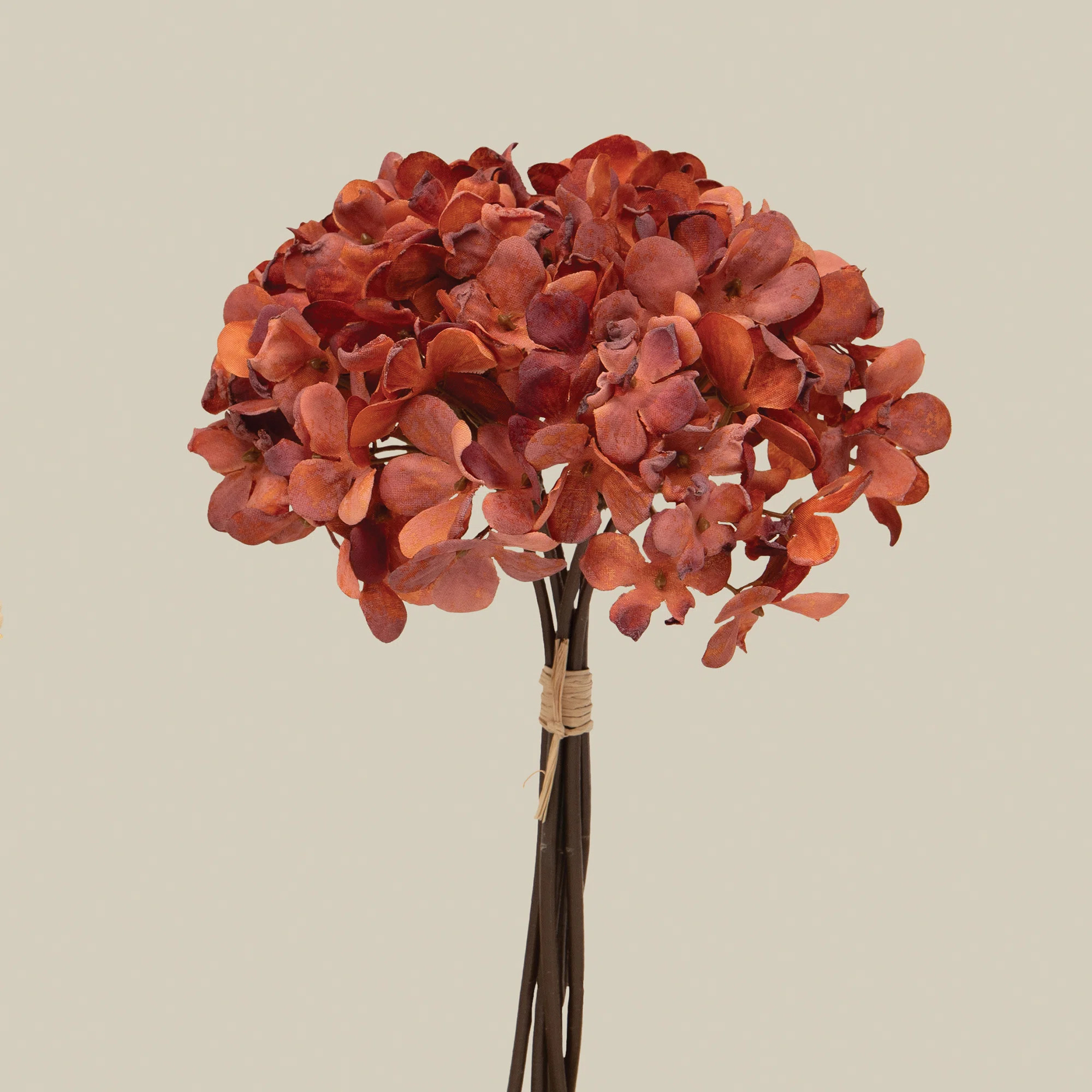 Primrue Silk Hydrangea Arrangement | Wayfair | Wayfair North America