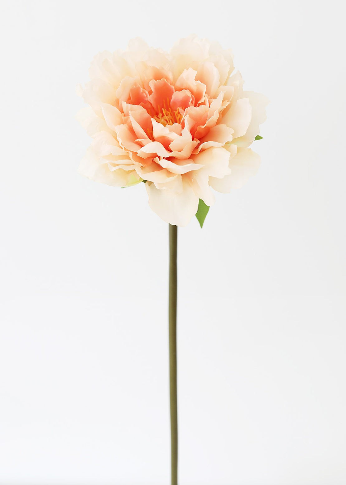 Artificial Peony Flower in Peach - 19" Tall | Afloral (US)