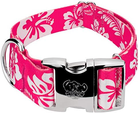 Country Brook Petz - HossFit Jr Wide Premium Dog Collar - Summer Breeze Collection Featuring Sunn... | Amazon (US)
