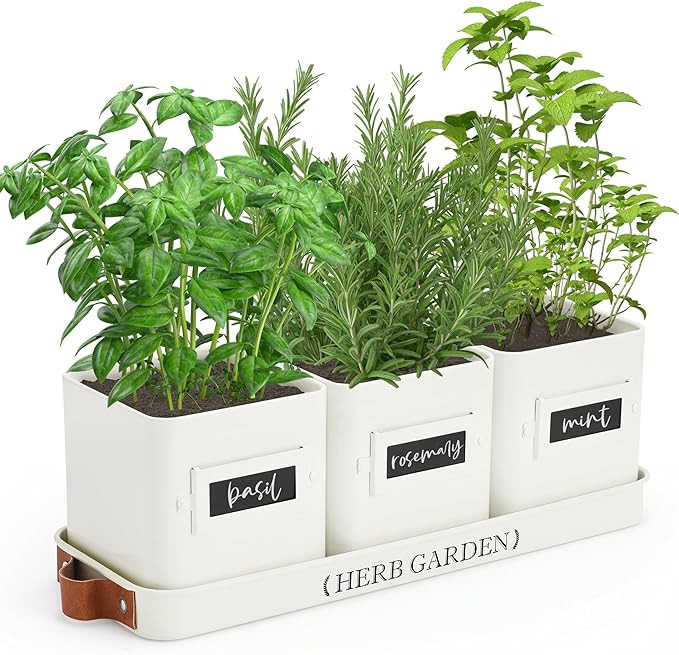 PERFNIQUE Indoor Herb Garden, Herb Garden Planter Set with Tray, Farmhouse Indoor Plant Pots, Win... | Amazon (US)