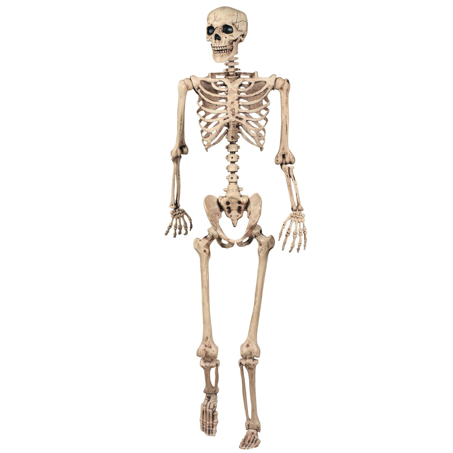 165cm Halloween Skeleton Poseable Decoration Life Size Party Decoration | Walmart (US)