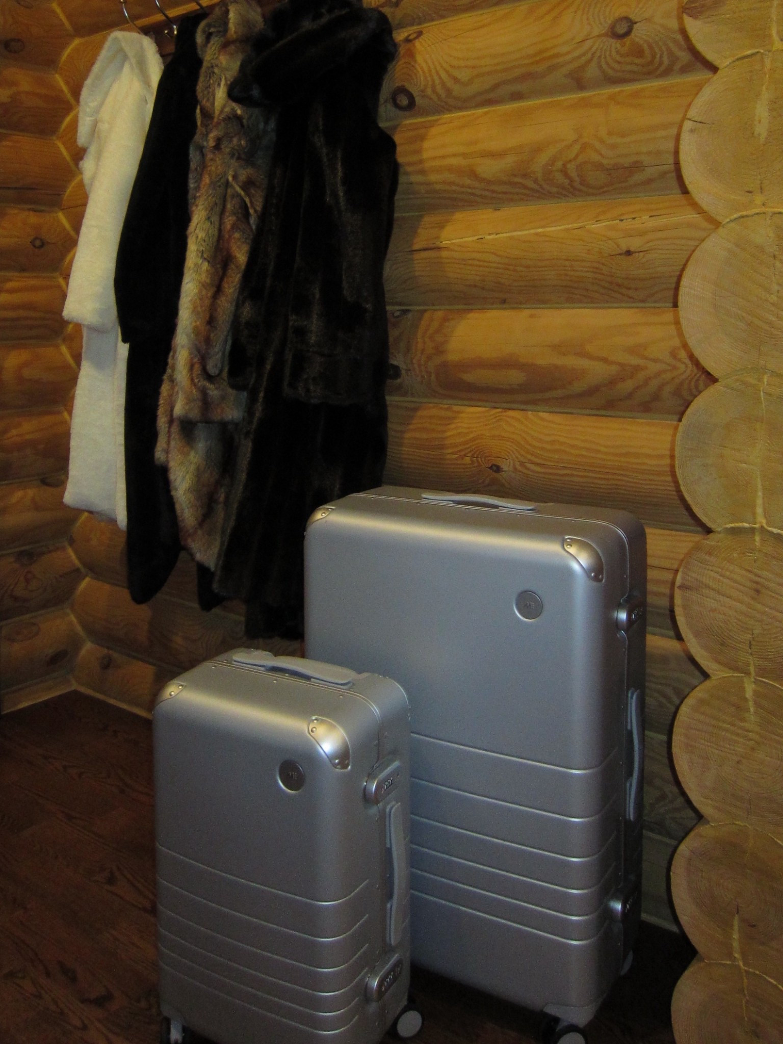 Chic girl luggage ✨