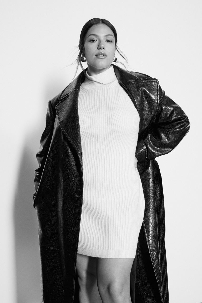 Mock-turtleneck Dress | H&M (US + CA)