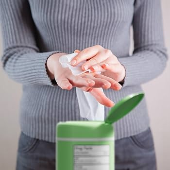 Antibacterial Hand Wipes Fresh Morning Breeze- Antibacterial Wipes with Aloe and Vitamin E Formul... | Amazon (US)