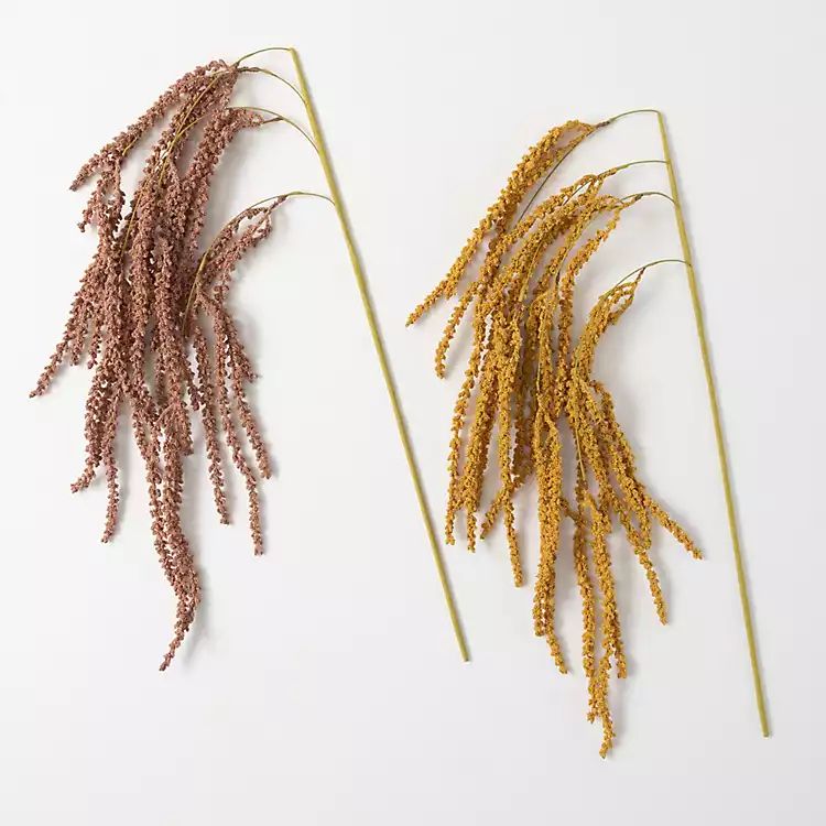 New! Whisping Fall Amaranthus Stems, Set of 2 | Kirkland's Home