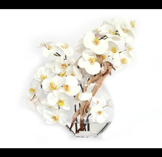 Faux Floral White Phalaenopsis Moon Vase | Belle and June