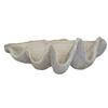 House Parts Giant Clam Shell 7500-1-1-01-01-73 | The Home Depot