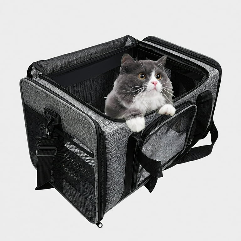 Behome Cat Carrier, Airline Approved, Collapsible Travel Pet Carrier for Small Cats & Dogs, Trave... | Walmart (US)