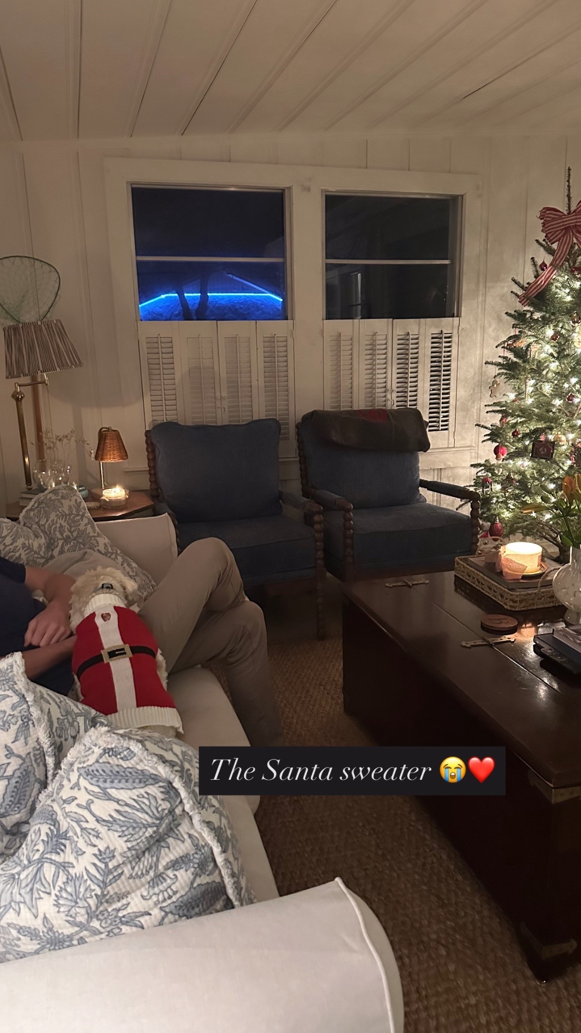 Walmart got me again with this Santa sweater ❤️🐶

#LTKHome #LTKSeasonal #LTKHoliday