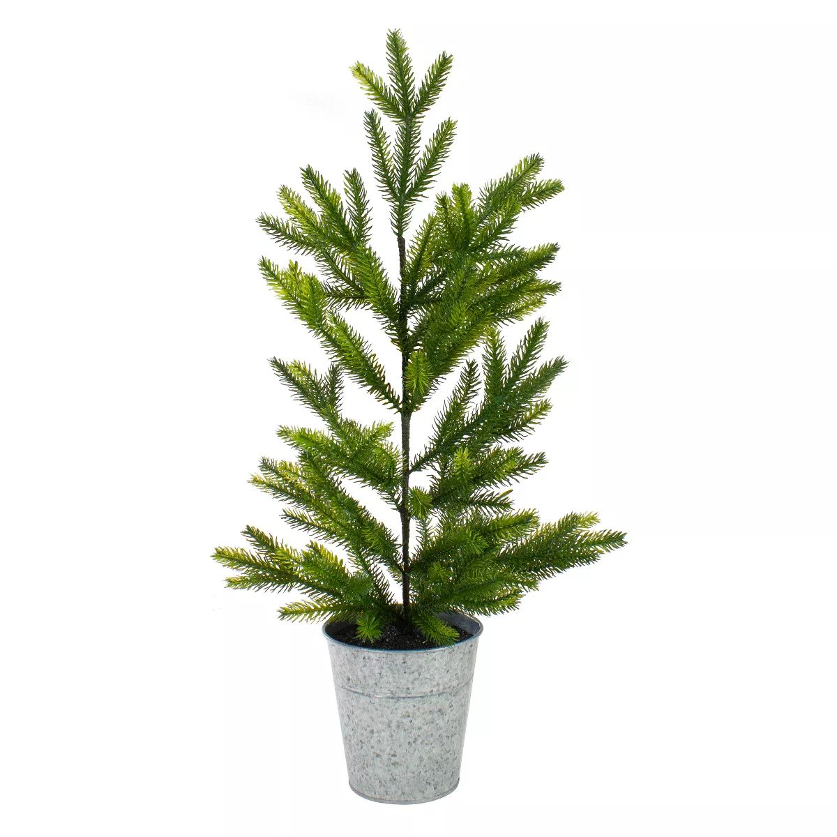 Northlight 2' Potted Pine Medium Artificial Christmas Tree – Unlit | Target