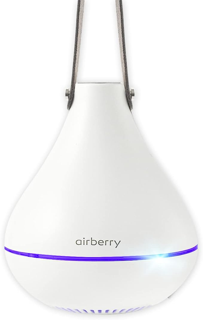 airberry NEW Smart Closet Automatic Management Device, Odor Eliminator, Electric air freshener fo... | Amazon (US)