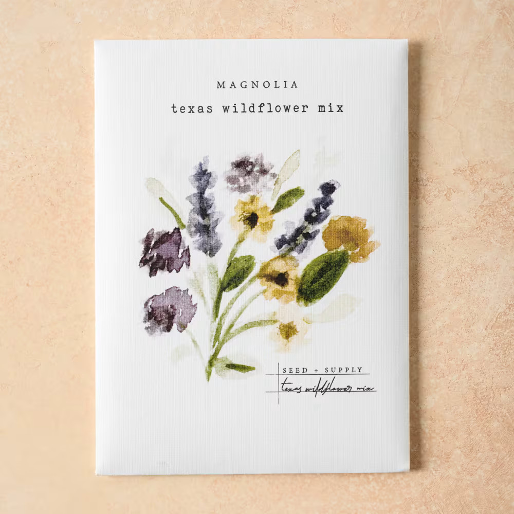 Watercolor Magnolia Seeds | Magnolia