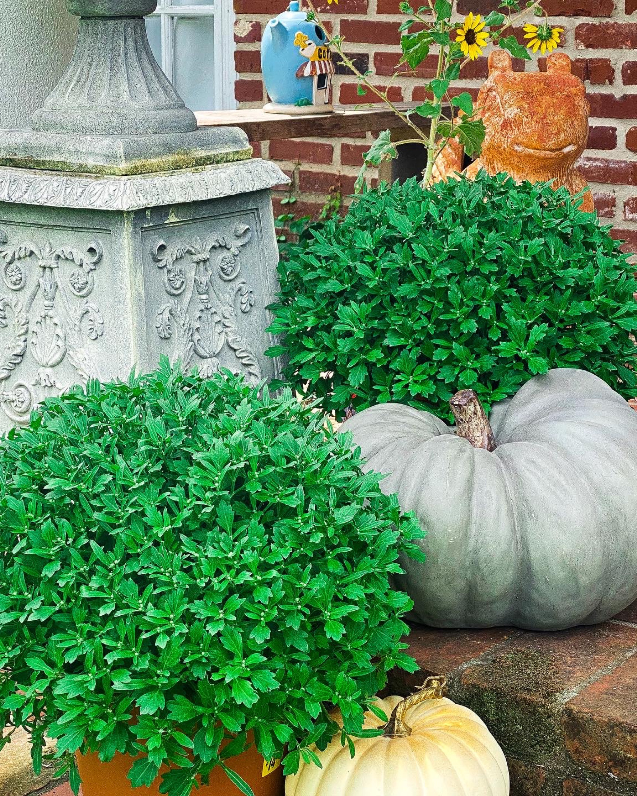 Pumpkins, fall decor, pumpkin decor, fall porch decor, mums

#LTKunder100 #LTKhome #LTKSeasonal