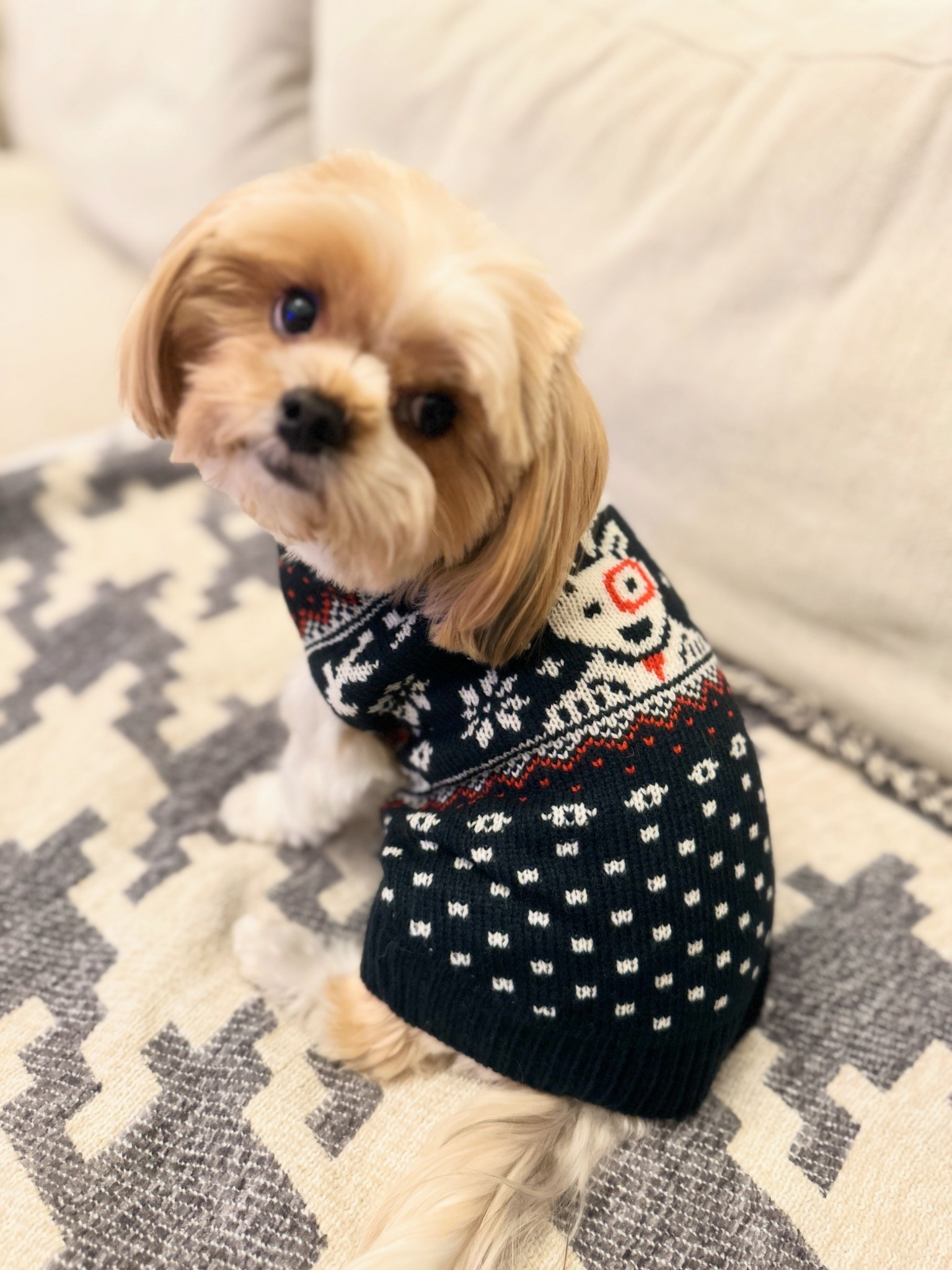 On the fence about the adorable Bullseye holiday pet sweater?  Well here’s a sign you definitely need it for your pup!  Our little guy looks so dapper in his new fairisle sweater and I cannot wait for it to get cooler in Texas so we can match!  

* Sweater - $14 to $16.99

#target #targetstyle #puppy #christmas #holiday

#LTKFindsUnder50 #LTKGiftGuide #LTKHoliday