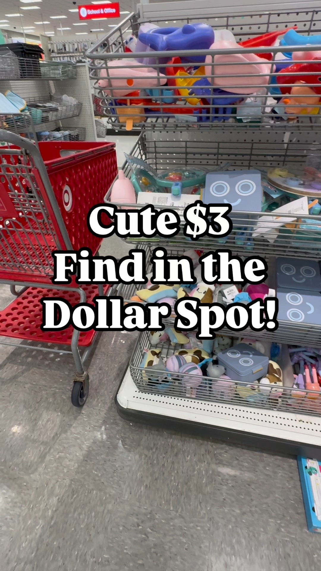 Target dollar spot, snack containers, food containers, pool food. Playground snack containers. Bullseyes playground. Only $3!!

#LTKKids #LTKSeasonal #LTKSummerEdit