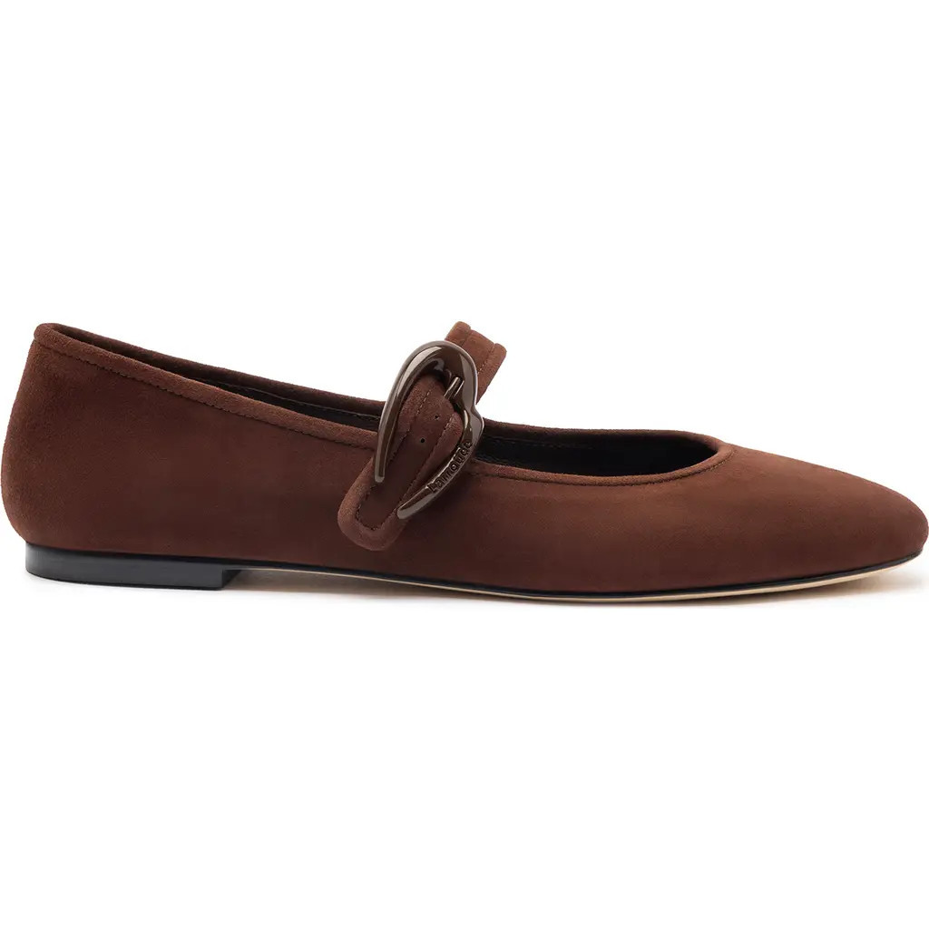 Larroudé Verona Ballet Flat in Brown at Nordstrom, Size 5.5 | Nordstrom
