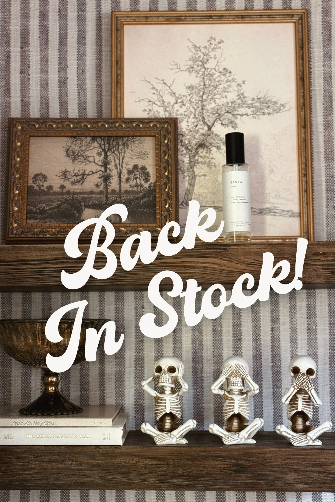 My chubby mini skeletons were a top seller last Halloween! They sold out but they’re back in stock! 💀 

#LTKSeasonal #LTKHome #LTKFallSale