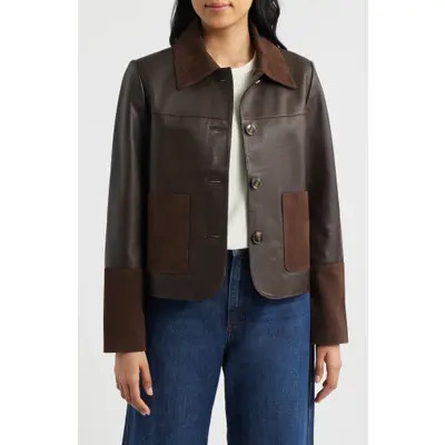 Bernardo Short Mixed Media Leather Jacket in Chocolate at Nordstrom, Size Xx-Large | Nordstrom