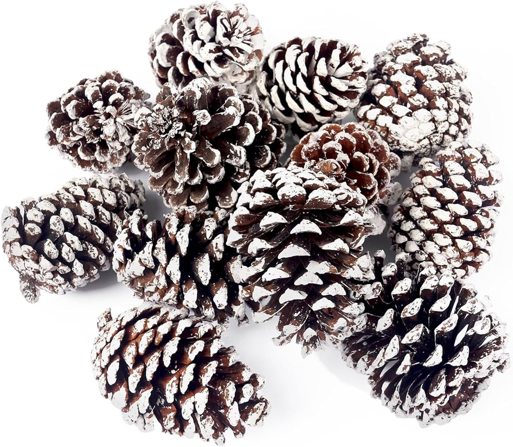 JOHOUSE 12PCS Large Snow Pine Cones, Big Pinecones for Craft Natural Pine Cones Decoration for Ch... | Amazon (US)