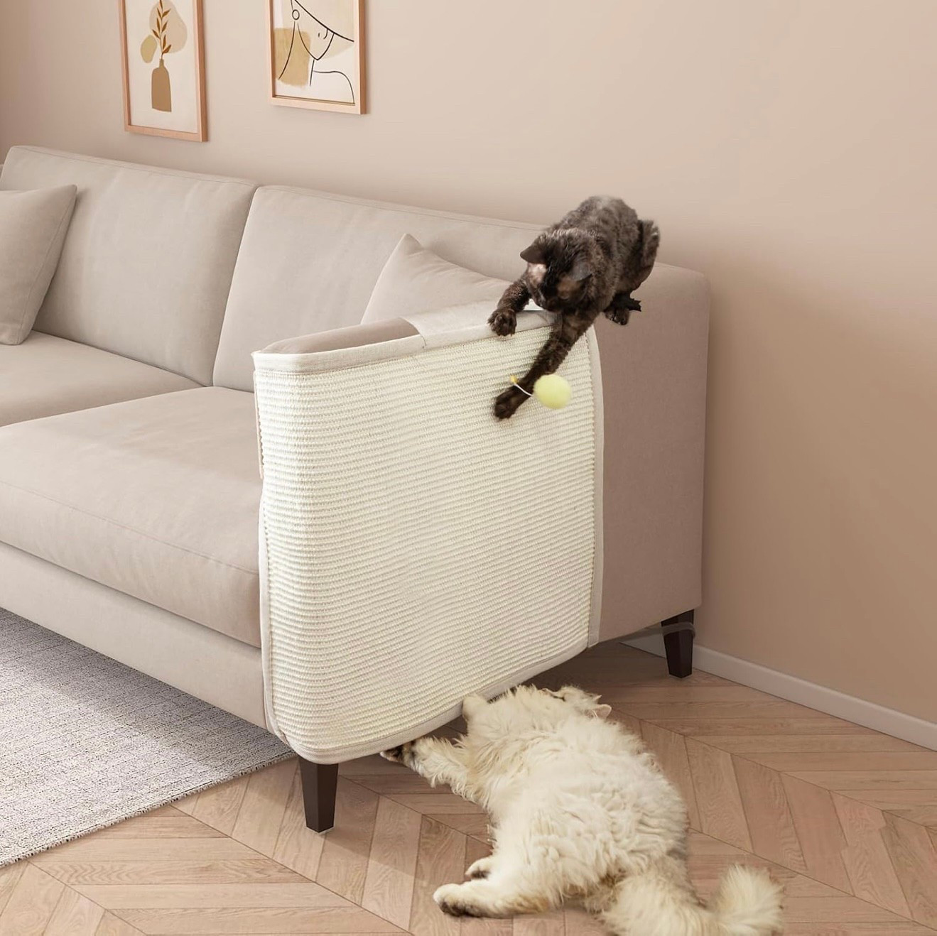 This is the cat scratch protector that I have on my couches at home. We have a total of 4 (2 couches, 1 on each side) and it has been much better to not have to keep fixing the sides of the couches. #cats 

#LTKPets #LTKFindsUnder100 #LTKFamily