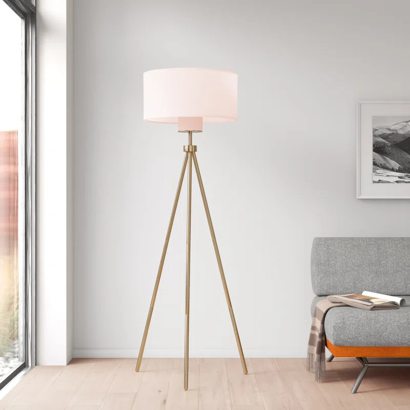 Chameli 66" Tripod Floor Lamp | Wayfair Professional