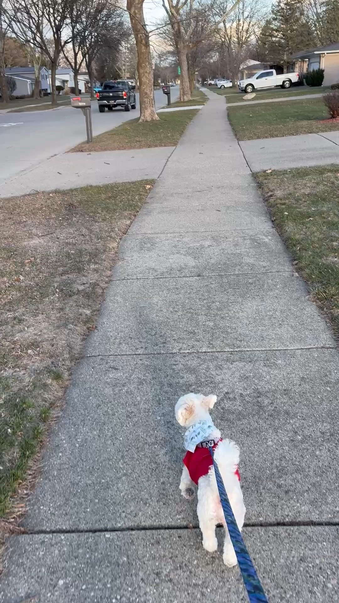 Heated vest is coming in so handy this time of year and so many times of the year here in Michigan. You may start out your walk being 🥶 and end up being 🥵 or vice versa. I also get hot wearing a big coat running errands, so this is perfect for all day long ! ￼I am wearing a men’s style, which is not quite as snug. The ladies styles are cut a little bit more contoured. ￼