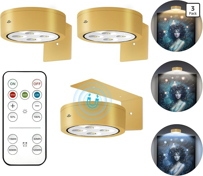 3Pcs Battery Operated Picture Light, Magnetic Led Painting Light with Remote Dimmable and Timer, ... | Amazon (US)