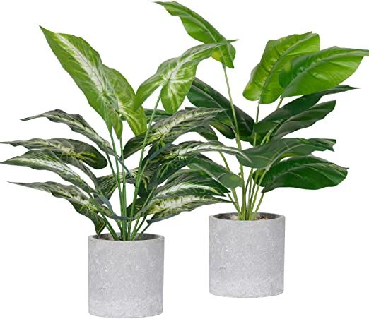 Der Rose 2 Pack Fake Plants Artificial Potted Faux Plants for Office Desk Home Farmhouse Decor… | Amazon (US)