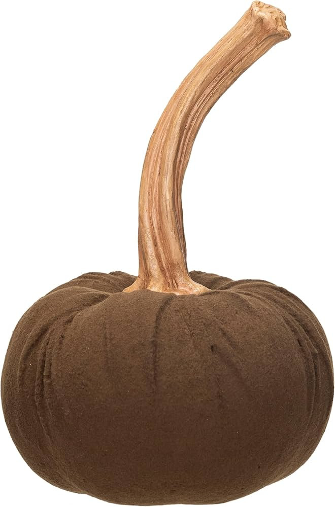 Creative Co-Op Flocked Resin Pumpkin with Stone Powder, Brown | Amazon (US)