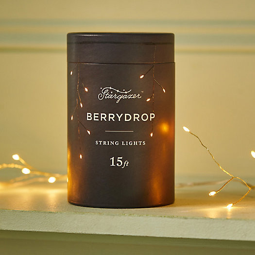 Stargazer Berrydrop String Lights | Terrain