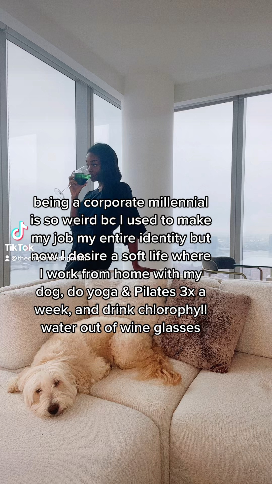 Sakara code: XOTAYNYC | chlorophyll water, neutral home decor, living room decor

#LTKhome #LTKfit #LTKFind