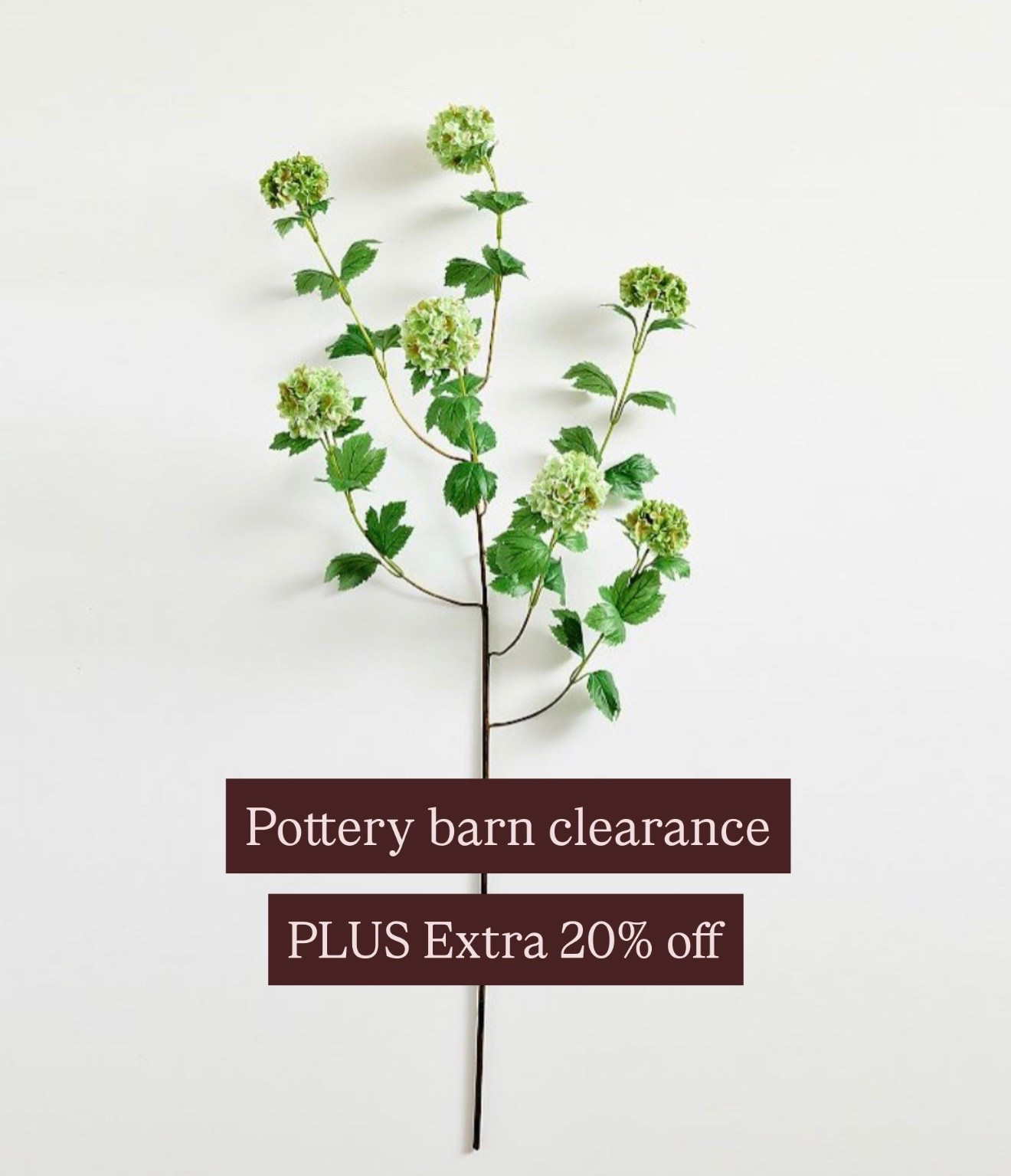 OK, sale on sale these clearance spring stems from Pottery Barn. They’re really nice quality great deal on these spring, stems face filler spring decor.

#LTKSaleAlert #LTKHome