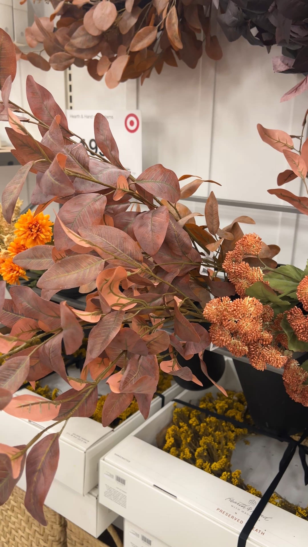 Beautiful faux stems and greenery by Hearth & Hand for the fall season! Grab these at Target before they’re gone!

#target #homedecor #falldecor

#LTKSeasonal #LTKFindsUnder50 #LTKHome