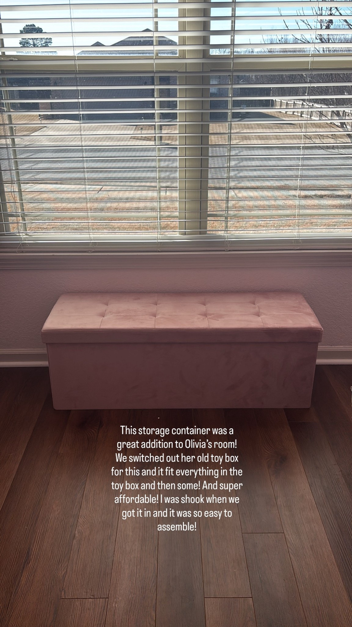 The best storage option for a girls room!
I

#LTKValentine #LTKmomlife #LTKHome