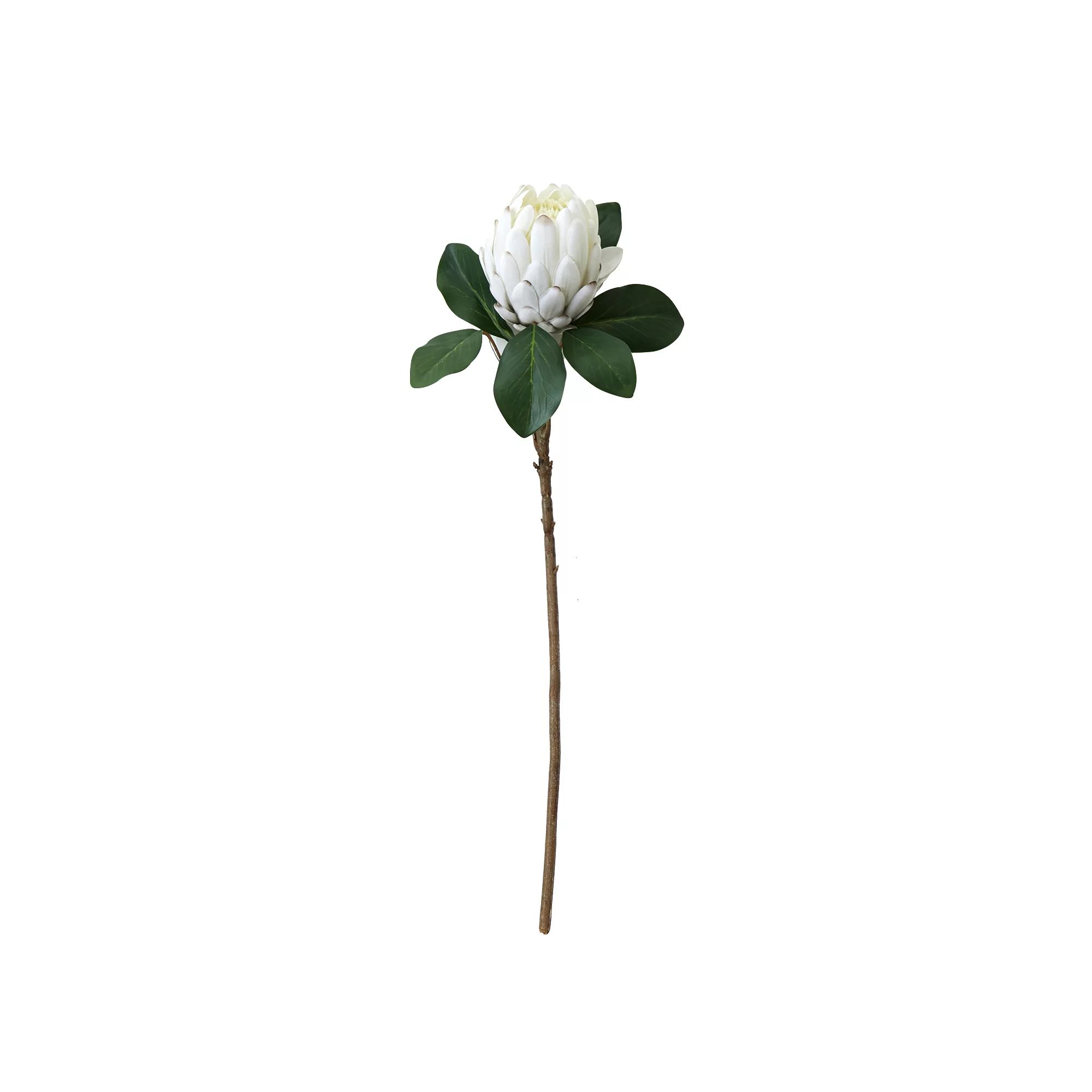 Mainstays 26.5"Artificial Silk Flower White King Protea Stem | Walmart (US)
