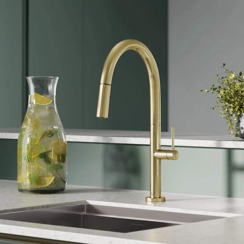 Pull Out Single Handle Kitchen Faucet | Wayfair North America