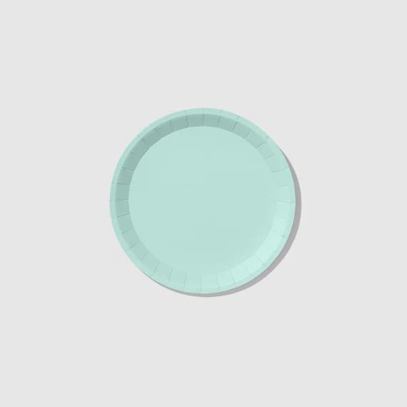Mint Classic Small Plates 10 per Pack - Etsy | Etsy (US)