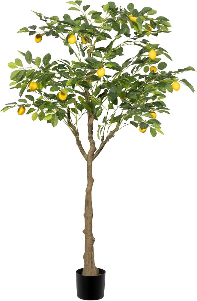 5FT Artificial Lemon Tree, Green Plastic Plant for Home Office Decor | Amazon (US)