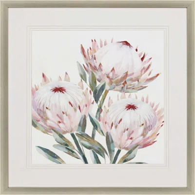 'King Protea II' Framed Painting Ophelia & Co. | Wayfair North America