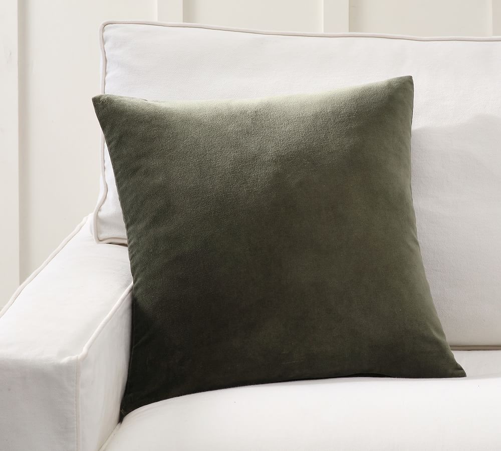 Everywhere Velvet Throw Pillow | Pottery Barn (US)