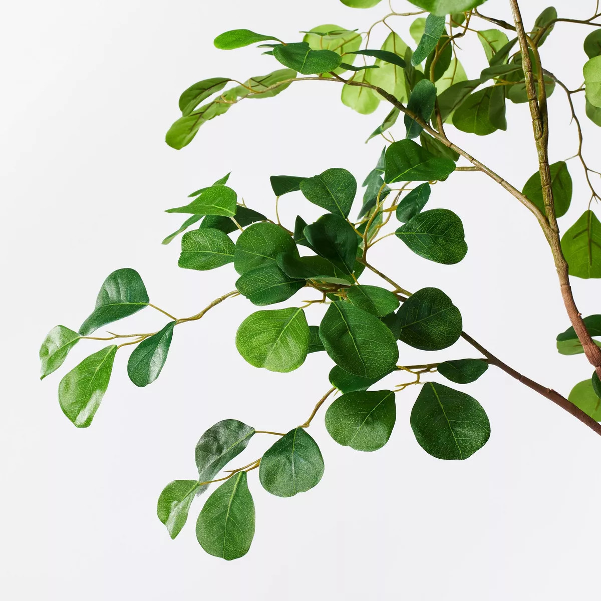 72" Artificial Ficus Tree - Threshold™ designed with Studio McGee | Target