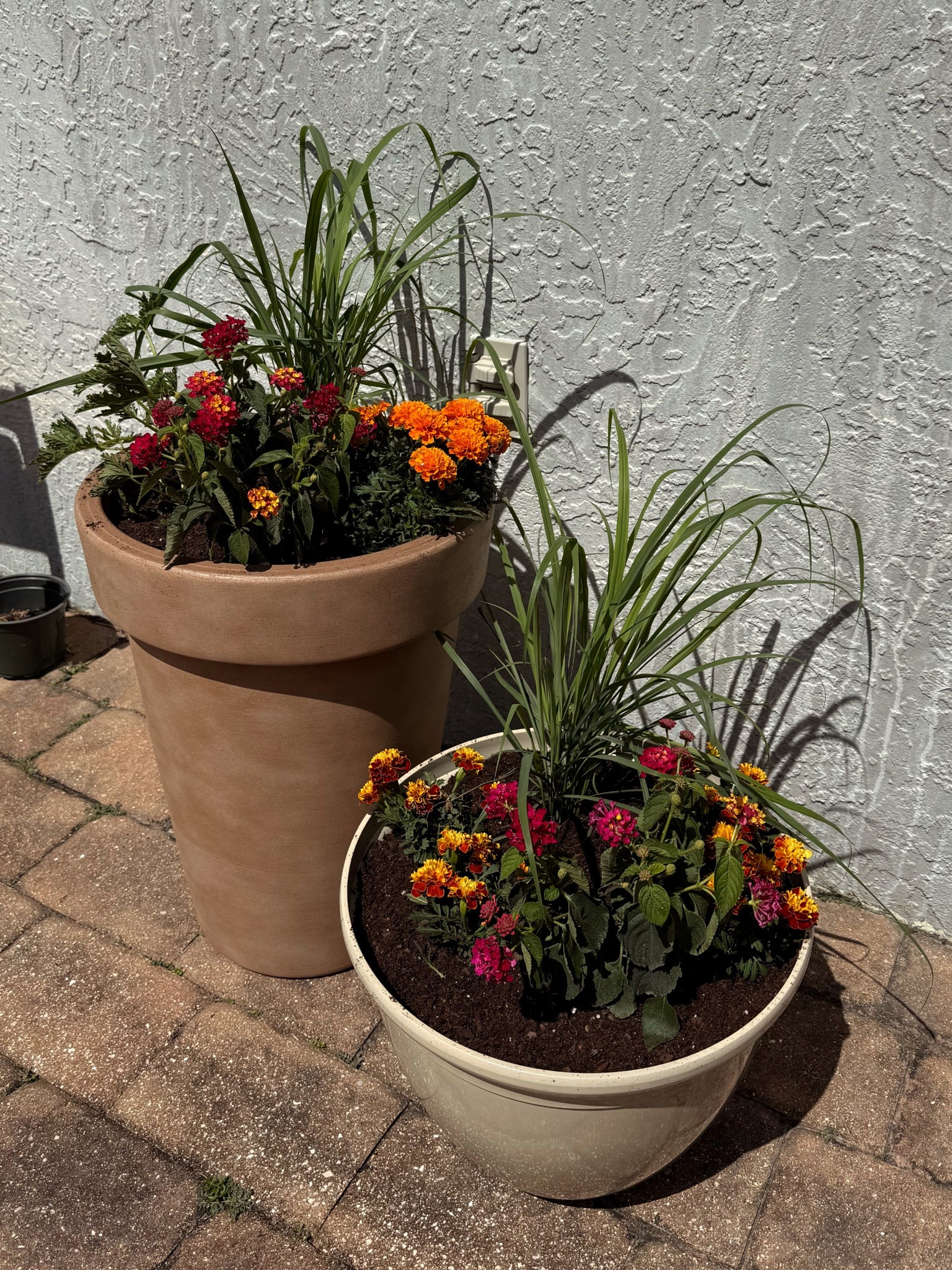 Plants to repel mosquitoes & wasps!

#LTKFindsUnder100 #LTKSeasonal #LTKHome