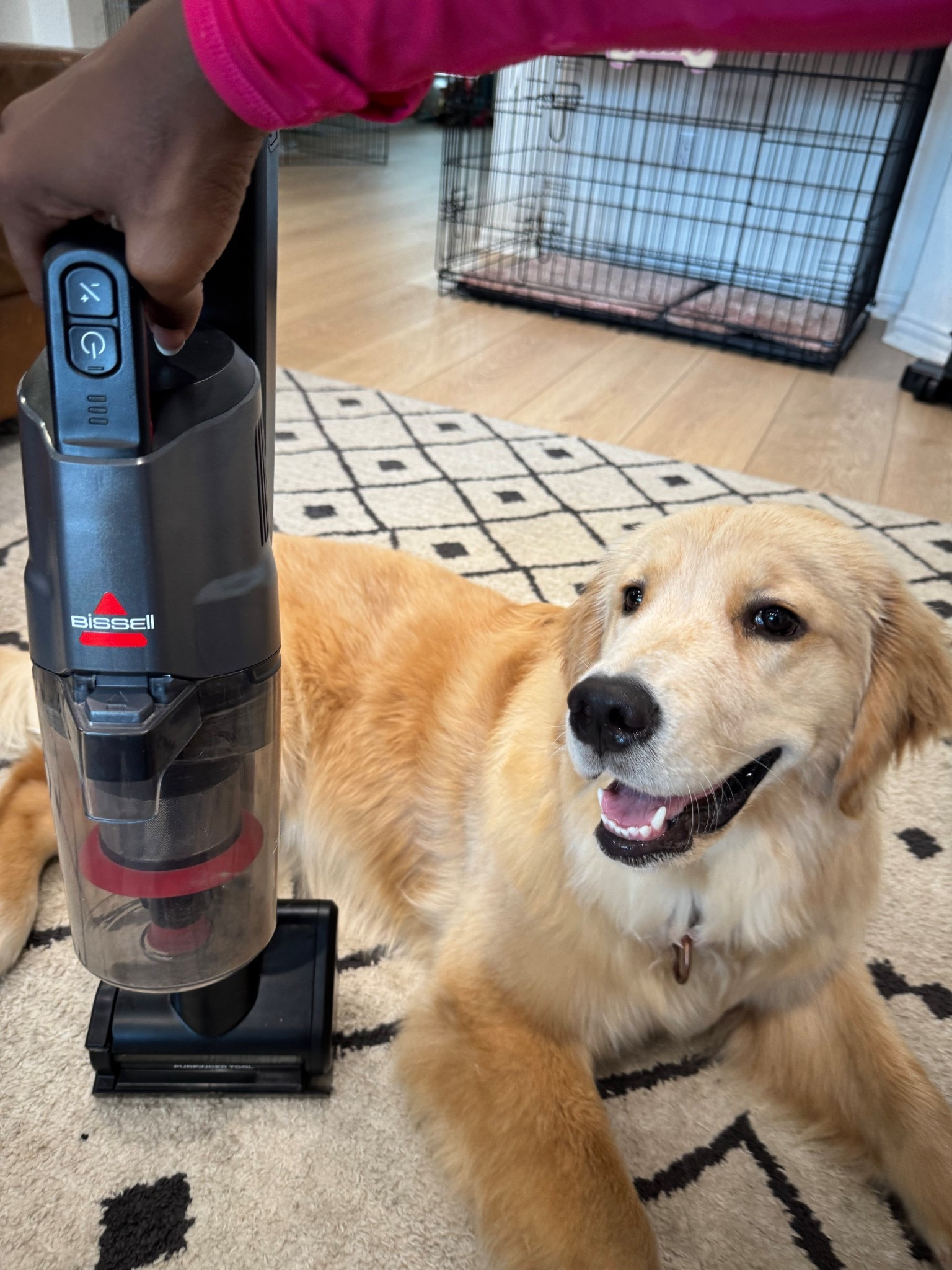 She's smiling because she didn’t have to clean up the fur. That’s my job… but at least I’ve got the BISSELL FurFinder tool to make it easy. Linked my go-to vacuum on LTK for pet parents who get it.

@BISSELLClean vacuum at @Target
#ad #BISSELL #BISSELLpartner #targetfinds #targetpartner #target #LTKhome #dogmomlife #BISSELLPartner 
