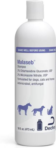 Malaseb Shampoo | Chewy.com