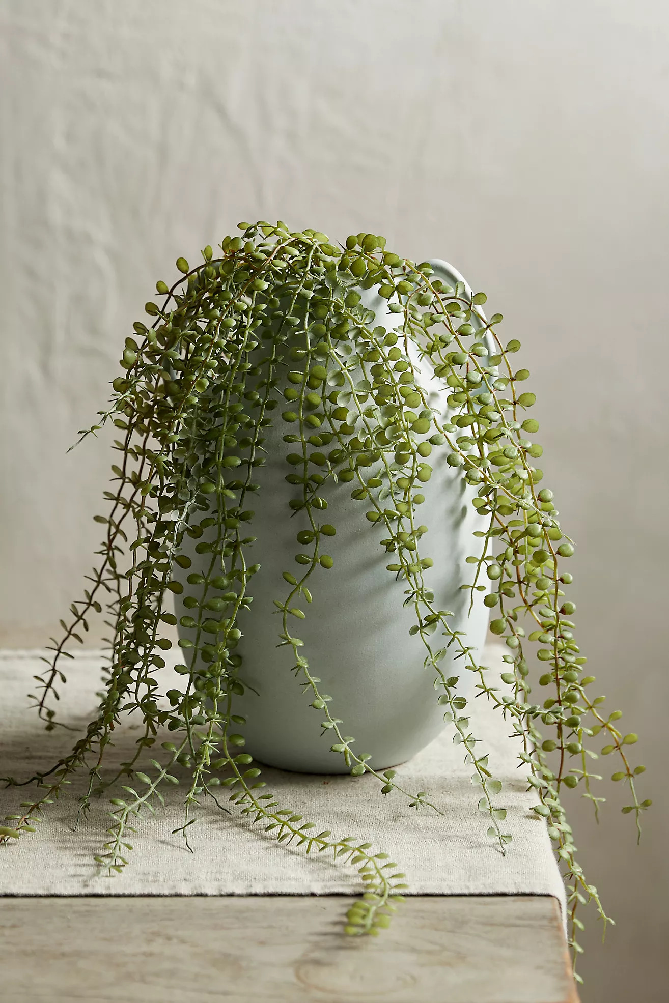 Faux Trailing Fern | Anthropologie (US)